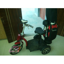 Three Wheel Electric Scooter with Golf Bag Holder (et-es002-g)